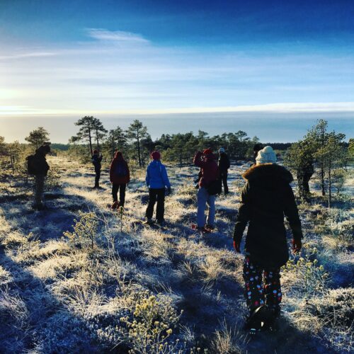 Räätsamatk männikjärve raba - matkapesa