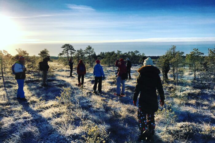 Bog shoeing trip in Endla Nature Reserve