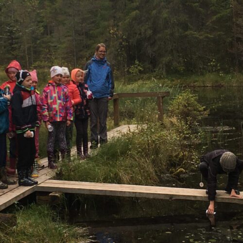 norra oostriku retked - Matkapesa